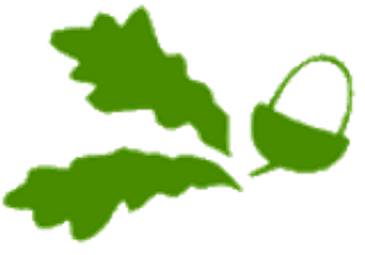 St Mary's Episcopal Primary School logo