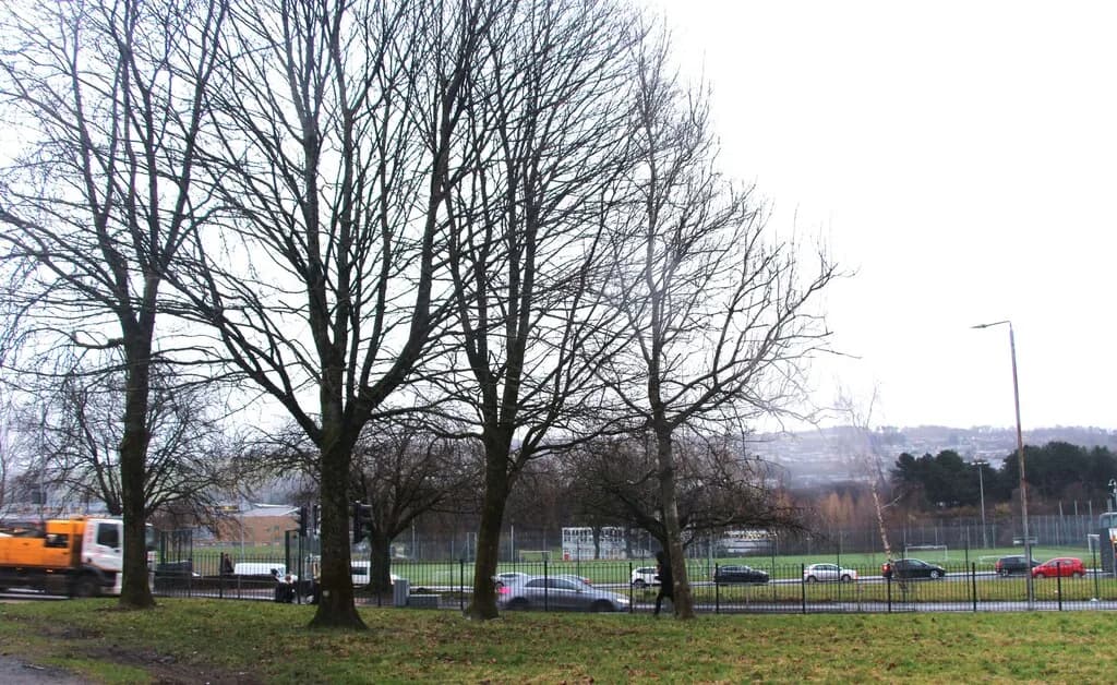 Vale Of Leven Academy, ALEXANDRIA