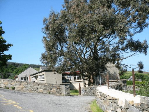 Ysgol Bodfeurig logo