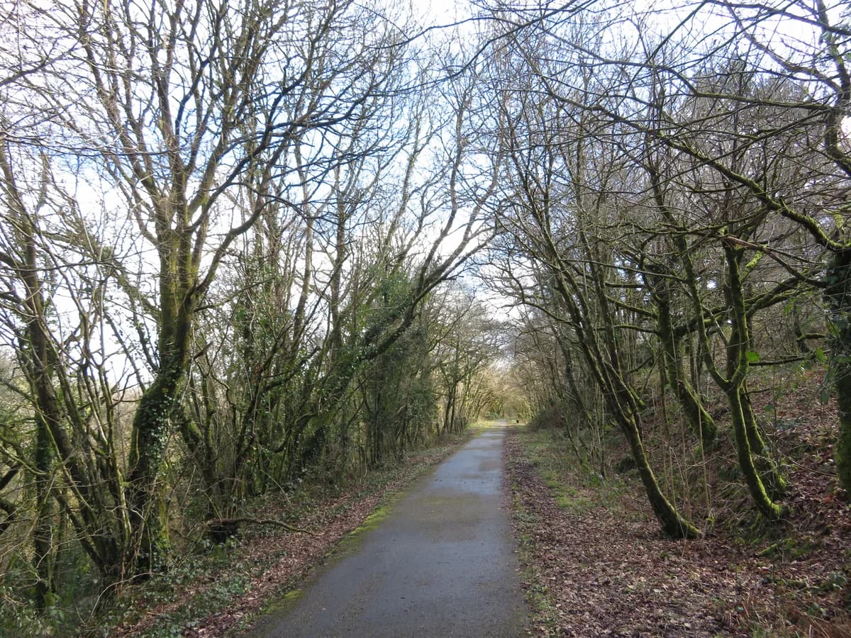 SWISS VALLEY, Carmarthenshire