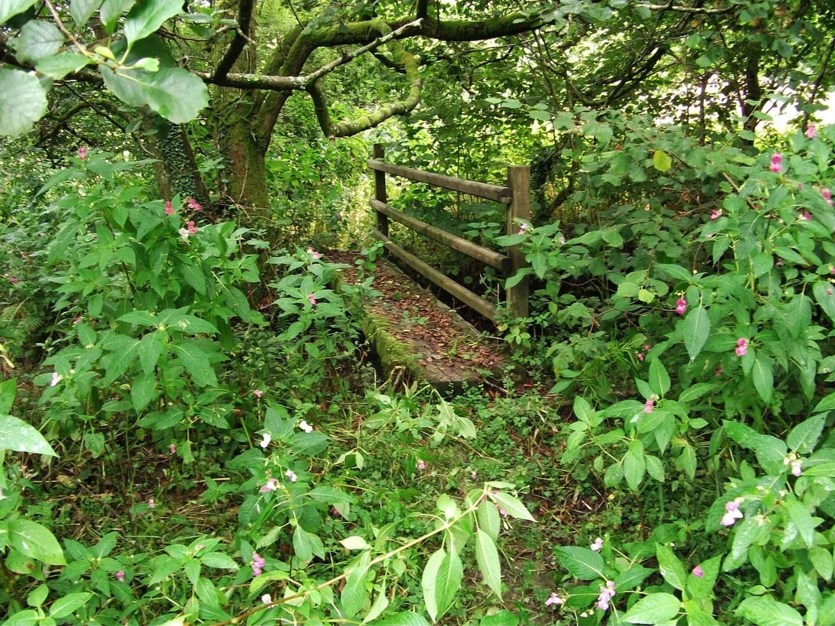 ABERGWILI, Carmarthenshire