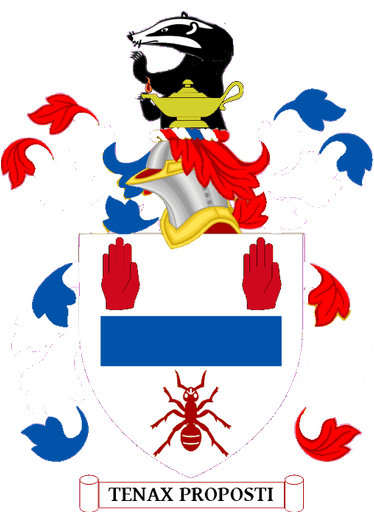 Ballymena Academy logo