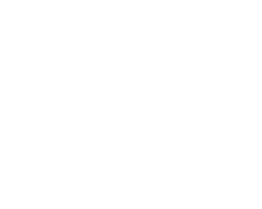 Sarum Hall School logo