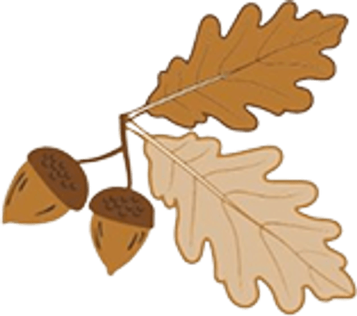 Twin Oaks Primary School logo