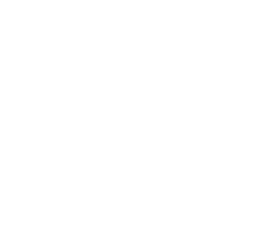 Brent Knoll School logo