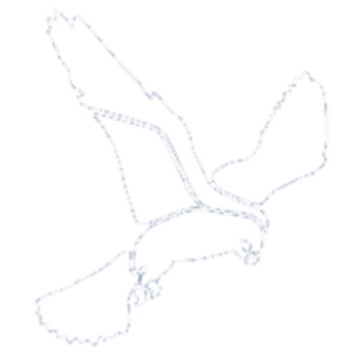 Falconbrook Primary School logo