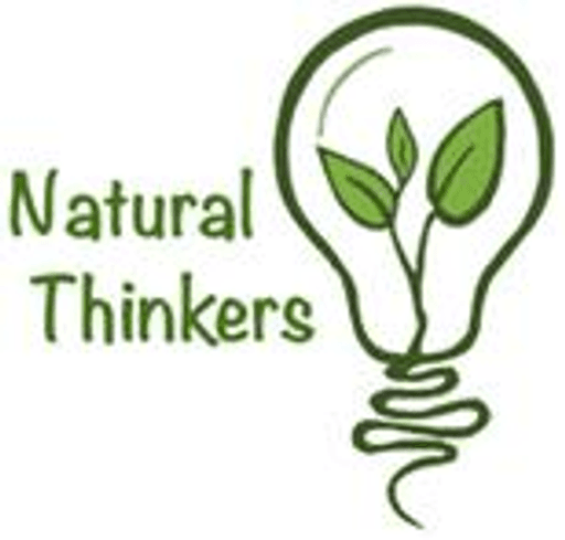 Pembury House Nursery School logo