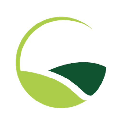 Meadow High School logo