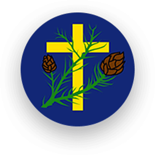 Christ Church CofE Primary School logo