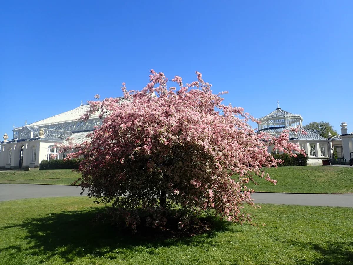 Blossom House School, Surrey
