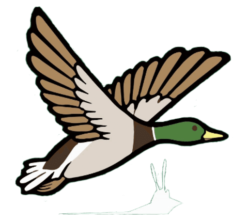 Meadlands Primary School logo