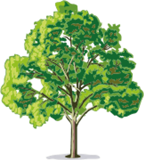 Park Hill Primary School logo
