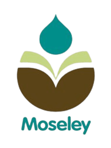 Moseley Primary School logo