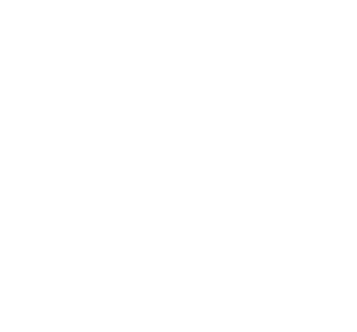 Castle Hill High School logo