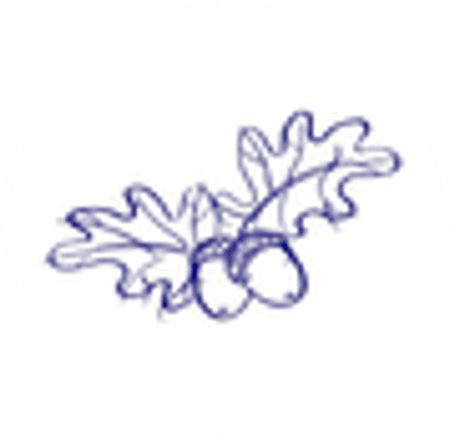 Enborne C.E. Primary School logo