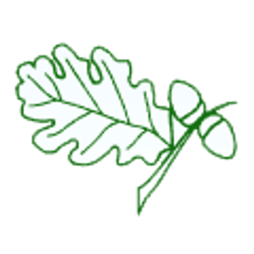 Styal Primary School logo