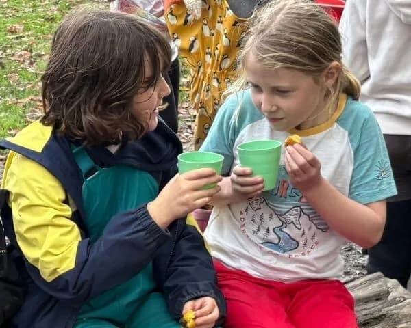Stithians Community Primary School, Truro