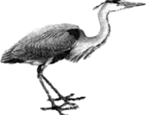 Heron Hill Primary School logo