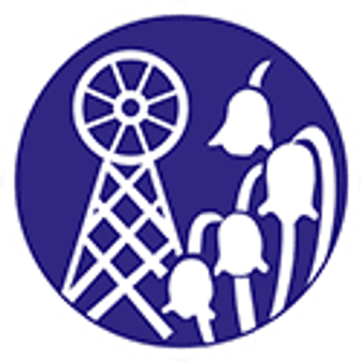 Bramley Vale Primary & Nursery School logo