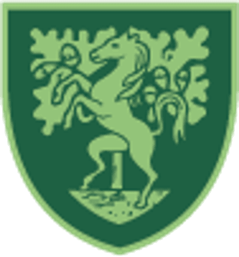 Stover School logo