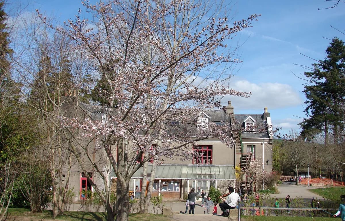 South Devon Steiner School, Devon