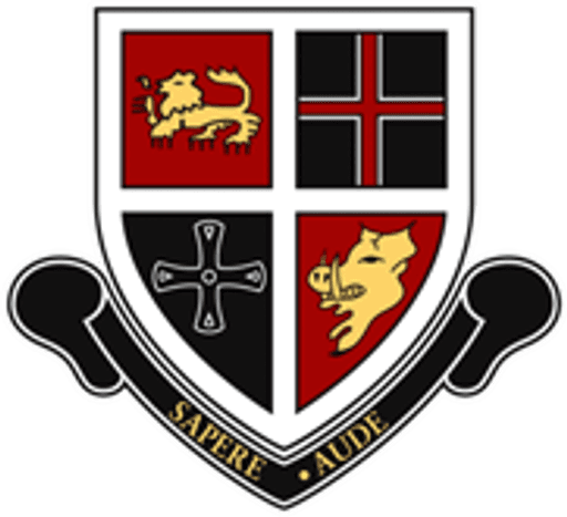 Durham Johnston Comprehensive School logo