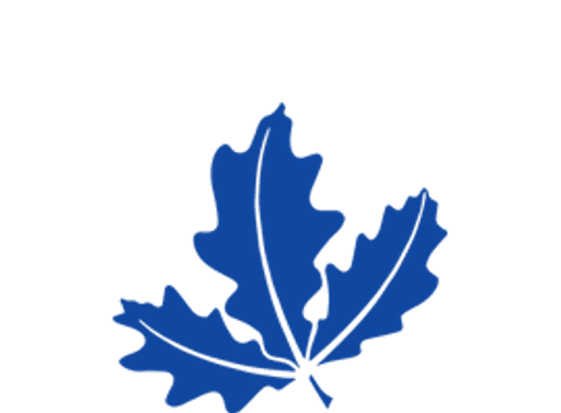White Court School logo