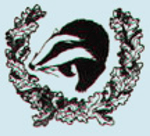 Brockenhurst Church of England Primary School & Pre-School logo