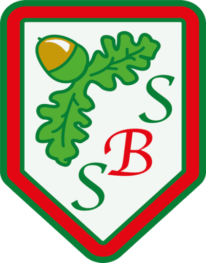 South Baddesley Church of England Primary School & Nursery logo