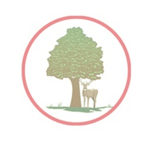 Bartley Church of England Junior School logo