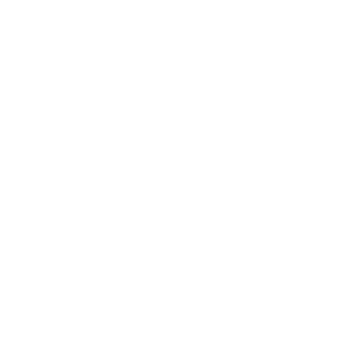 The Vyne Community School logo