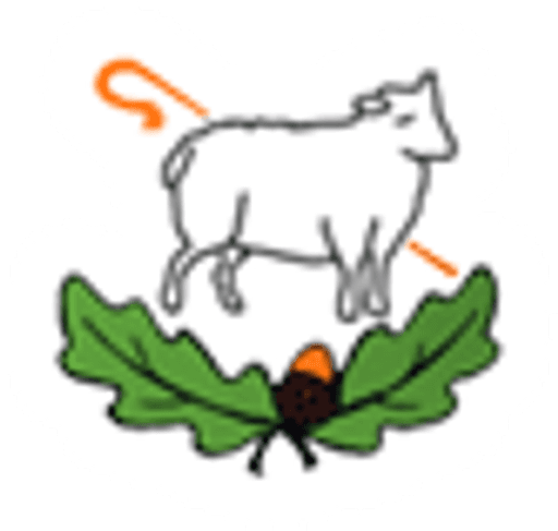 Shepherds Down Special School logo