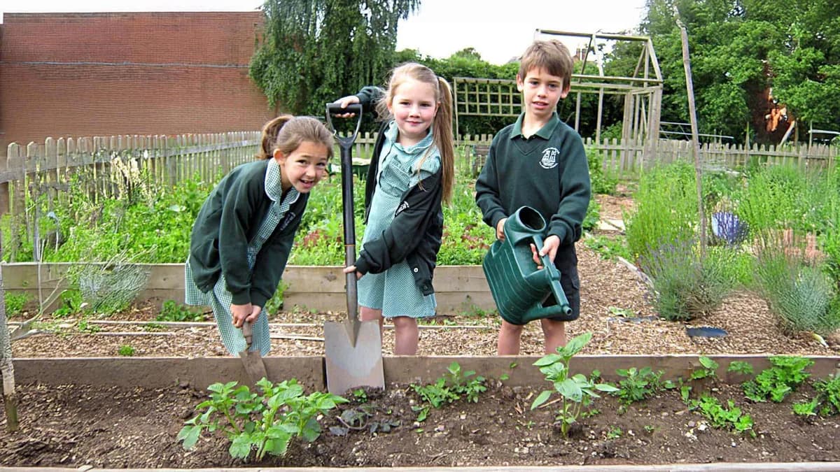 Grimley and Holt CofE Primary School, Worcester