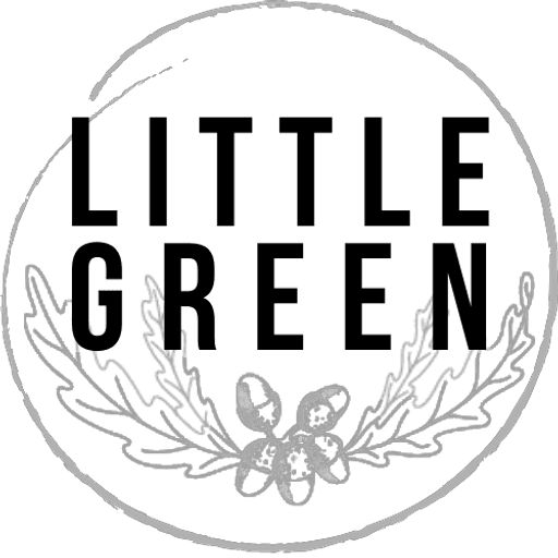 Little Green Junior School logo
