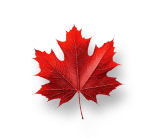 Maple Primary School logo