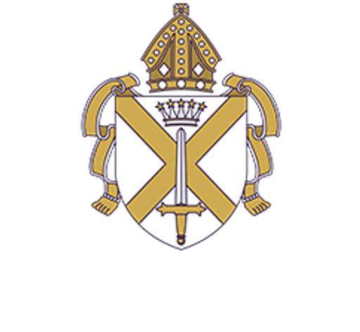 Townsend Church of England School logo