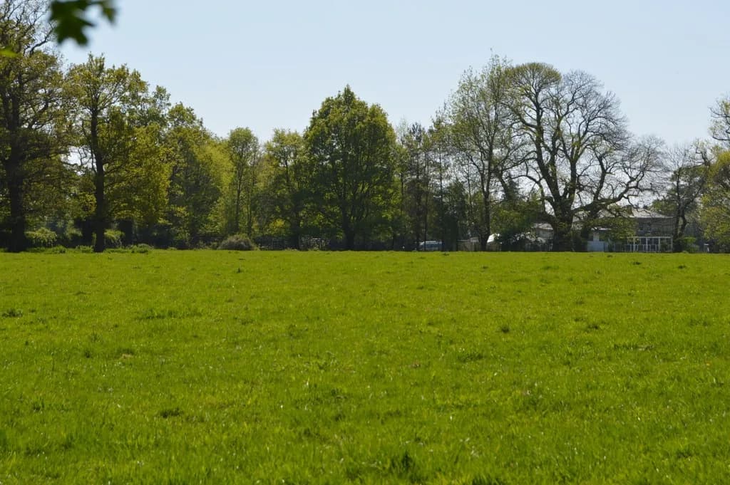 Broomhill Bank School, Tunbridge Wells