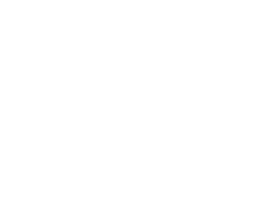 Broughton High School logo