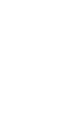 Dixie Grammar School logo