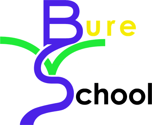 Bure Valley School logo