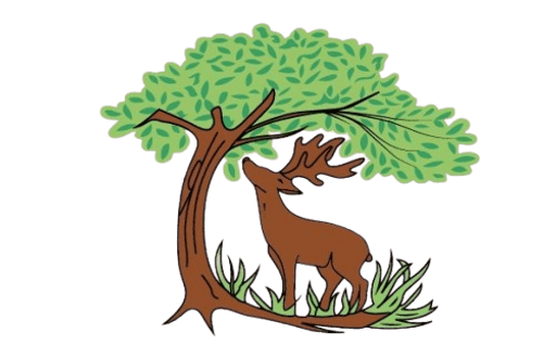 Hethersett Woodside Primary & Nursery School logo