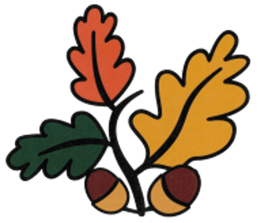 Worlingham Church of England Voluntary Controlled Primary School logo