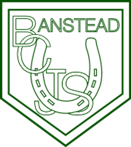 Banstead Community Junior School logo
