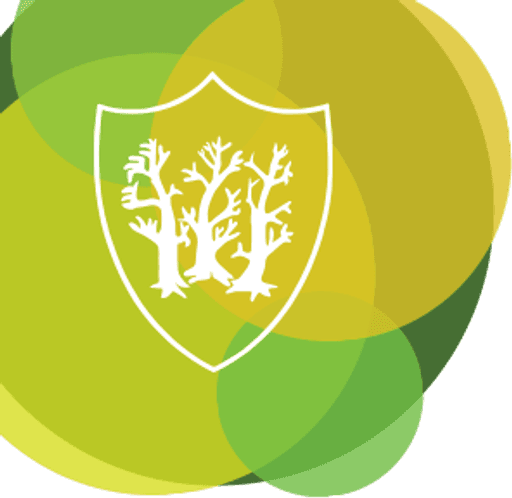 Birchwood Grove Community Primary School, Burgess Hill logo