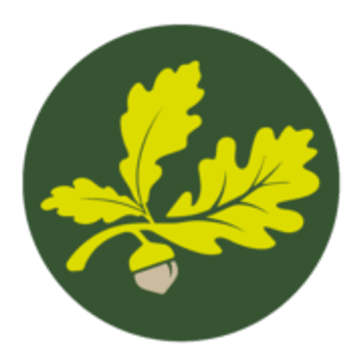 Midhurst CofE Primary School logo