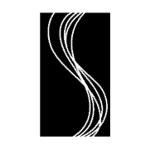 Suffolk New College logo