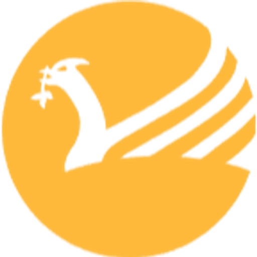 North Liverpool Academy logo