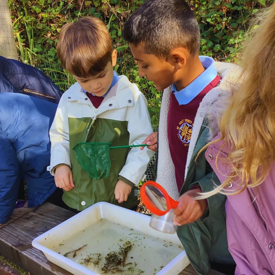 Holy Trinity Rosehill CofE Voluntary Aided Primary School, Stockton-on-Tees