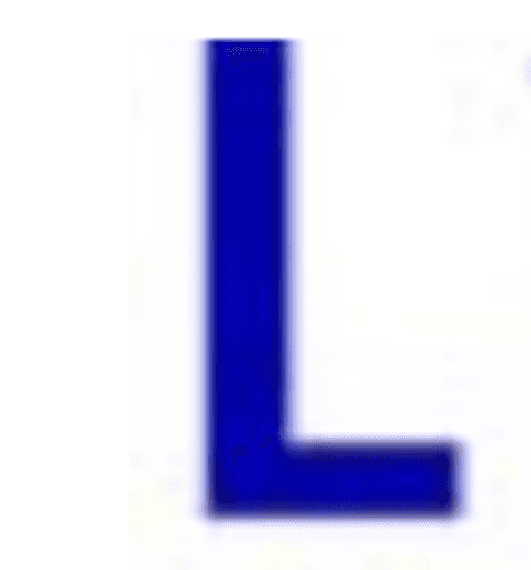 The Lioncare School logo
