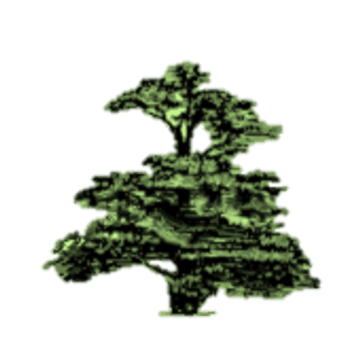 Cedars - Newcastle, Moorlands and Darwin Bases logo